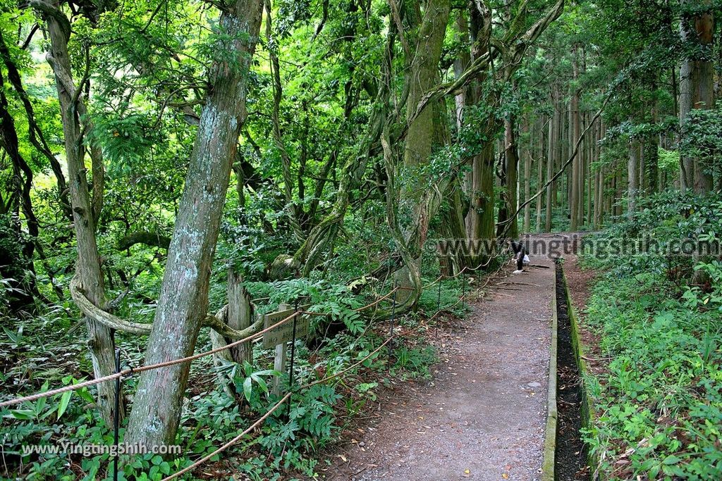 YTS_YTS_20190715_日本東北山形丸池様／牛渡川（梅花藻）／箕輪鮭孵化場Japan Tohoku Yamagata Maruike-sama Pond024_539A1783.jpg