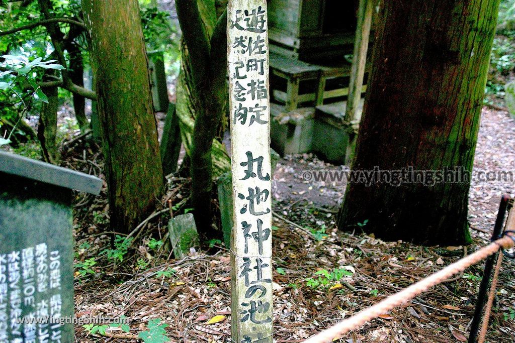 YTS_YTS_20190715_日本東北山形丸池様／牛渡川（梅花藻）／箕輪鮭孵化場Japan Tohoku Yamagata Maruike-sama Pond042_539A2178.jpg