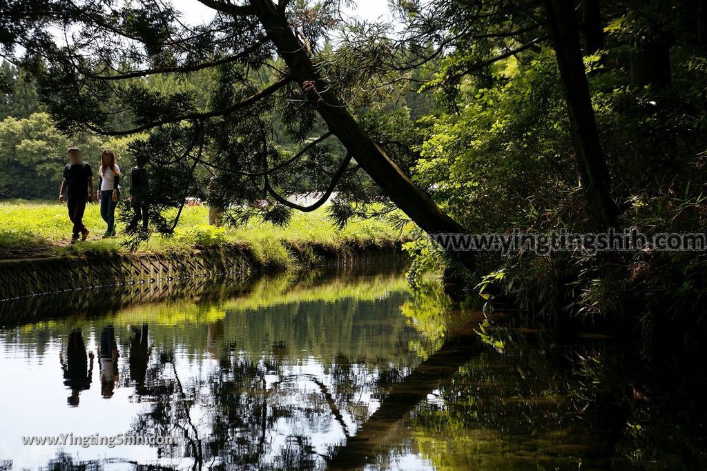 YTS_YTS_20190715_日本東北山形丸池様／牛渡川（梅花藻）／箕輪鮭孵化場Japan Tohoku Yamagata Maruike-sama Pond079_539A1604.jpg