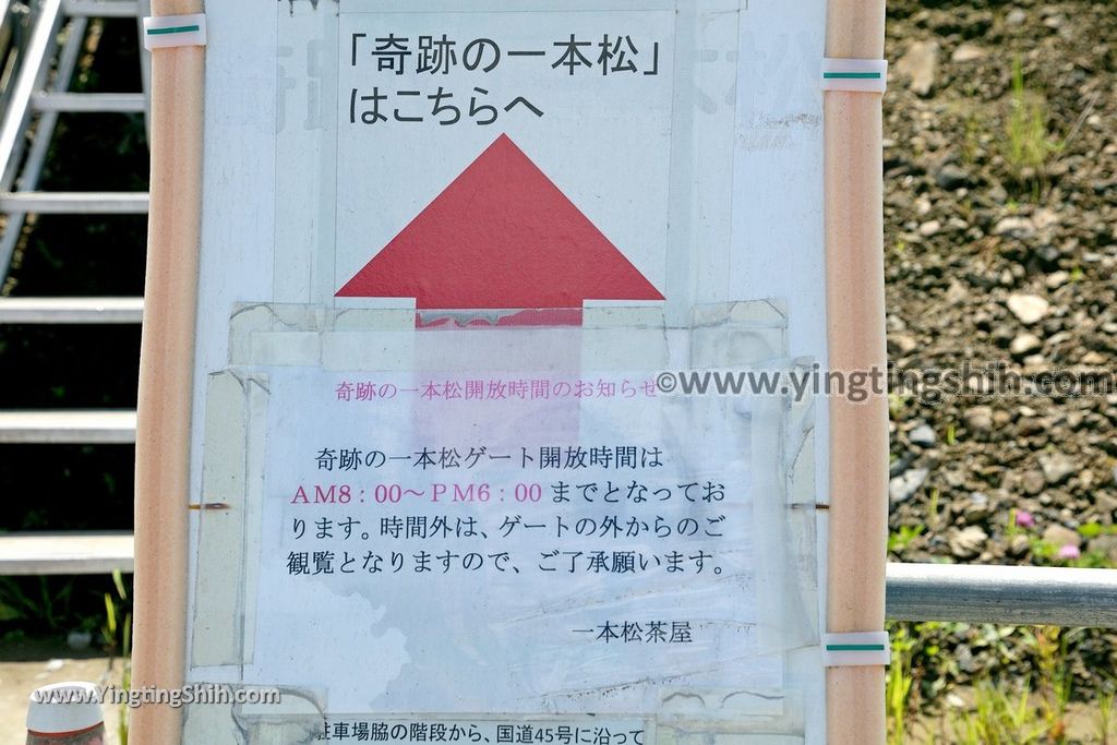 第1612篇 日本東北 岩手陸前高田奇跡の一本松 氣仙大橋x日本景點導覽 Japan Tohoku Iwate Miracle Pine X Japan Attraction Navigation 施盈廷 S 施旅行 痞客邦 第1612篇 日本東北 岩手陸前高田奇跡の一本松 氣仙大橋x日本景點導覽 Japan Tohoku Iwate Miracle Pine X Japan Attraction Navigation 施盈廷 S 施旅行 痞客邦