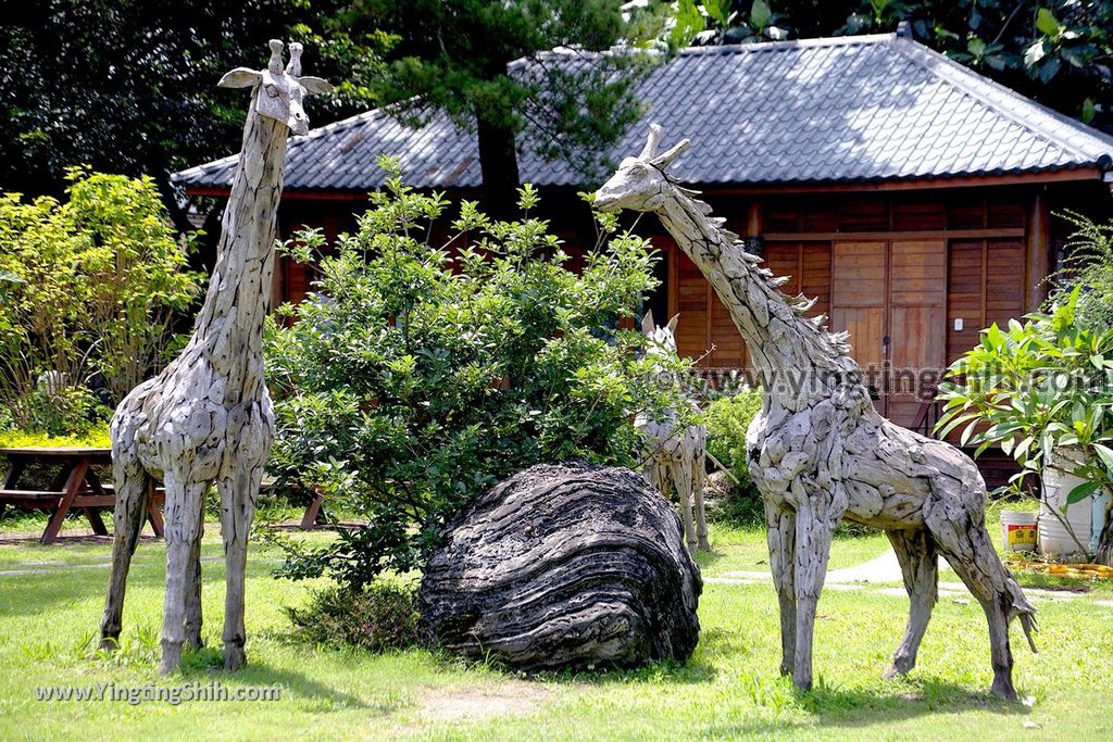 YTS_YTS_20190629_花蓮市區松園別館（歷史建築）／原花蓮港陸軍兵事部／臥松園區Hualien City Pine Garden023_539A6253.jpg