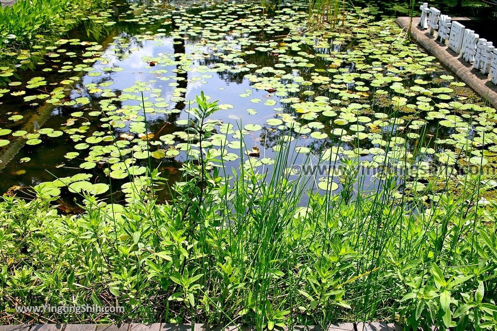 YTS_YTS_20190629_花蓮市區松園別館（歷史建築）／原花蓮港陸軍兵事部／臥松園區Hualien City Pine Garden105_539A6384.jpg