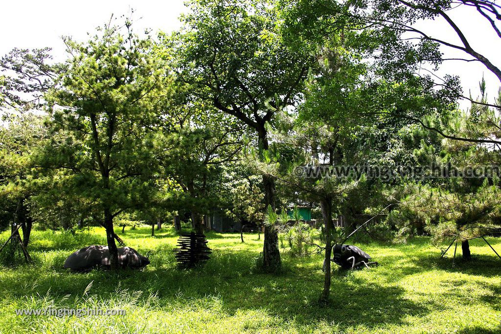 YTS_YTS_20190629_花蓮市區松園別館（歷史建築）／原花蓮港陸軍兵事部／臥松園區Hualien City Pine Garden120_539A6406.jpg