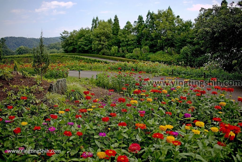 YTS_YTS_20190801_日本東北宮城國營陸奧杜之湖畔公園／みちのく公園Japan Tohoku Miyagi Michinoku Park039_539A7531.jpg