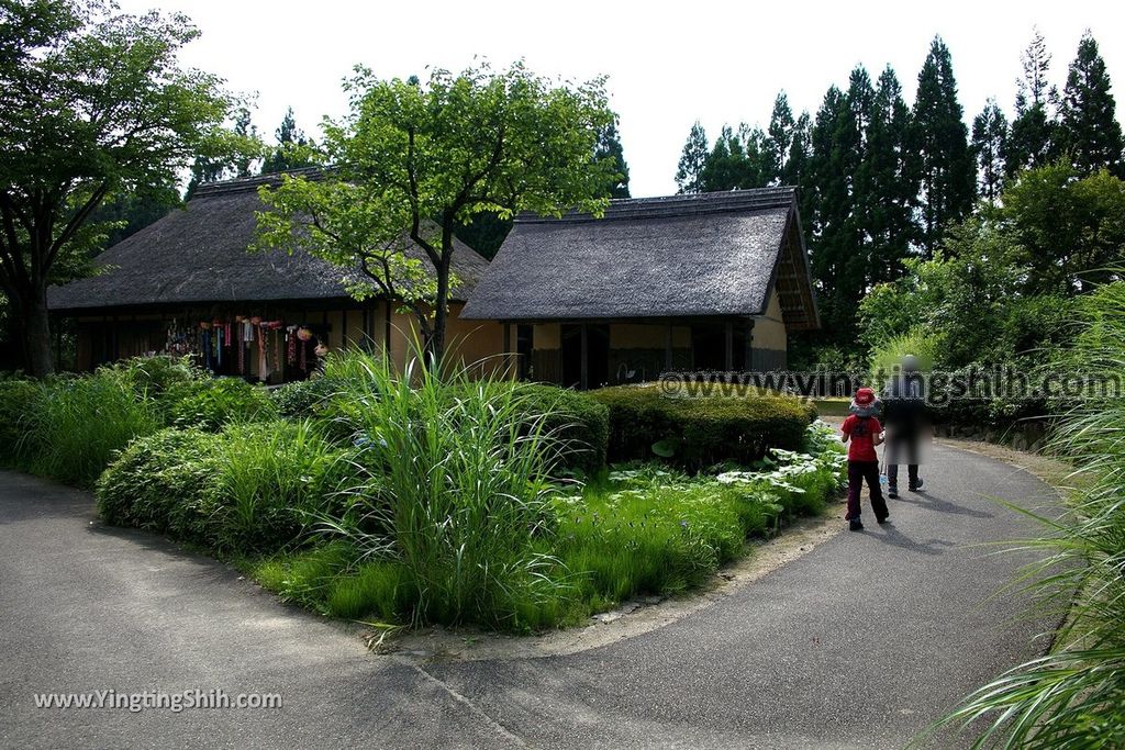 YTS_YTS_20190801_日本東北宮城國營陸奧杜之湖畔公園／みちのく公園Japan Tohoku Miyagi Michinoku Park057_539A7588.jpg