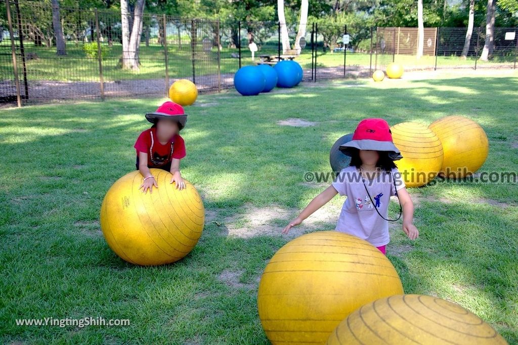 YTS_YTS_20190801_日本東北宮城國營陸奧杜之湖畔公園／みちのく公園Japan Tohoku Miyagi Michinoku Park128_539A7975.jpg