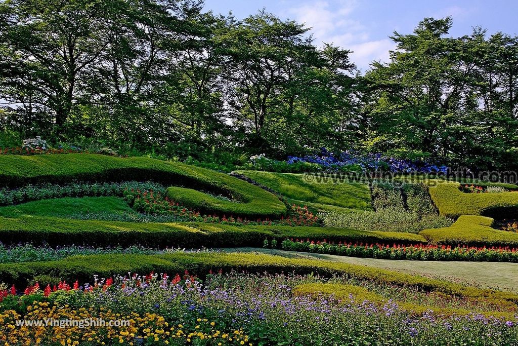 YTS_YTS_20190801_日本東北宮城國營陸奧杜之湖畔公園／みちのく公園Japan Tohoku Miyagi Michinoku Park160_539A8326.jpg