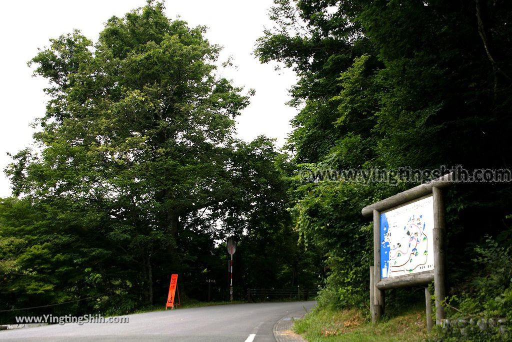 YTS_YTS_20190717_日本東北青森白神十二湖王池／八景の池Japan Tohoku Aomori Oike Pond／Juniko／Twelve Lakes003_539A7605.jpg