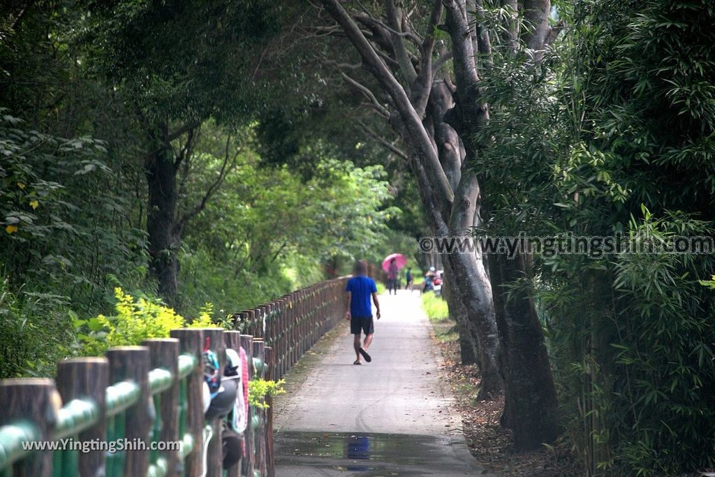 YTS_YTS_20190630_花蓮吉安初英親水生態公園／台灣兒童發展協會馬匹輔助教育中心Hualien Jian Chuyingqinshuishengtai Park020_539A8970.jpg