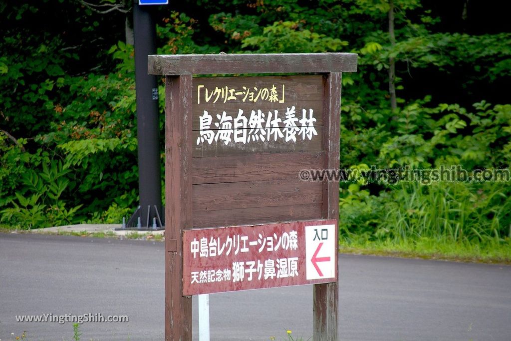 YTS_YTS_20190718_日本東北秋田中島台／獅子ヶ鼻湿原Japan Tohoku Akita Nakajimadai Recreation Forest002_539A8418.jpg