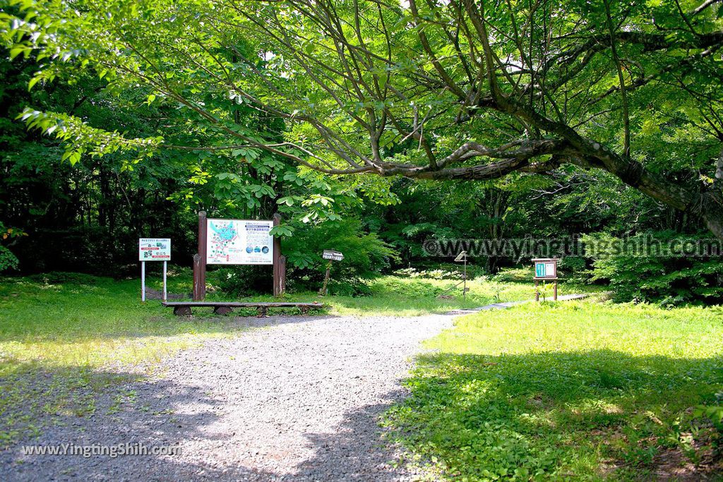 YTS_YTS_20190718_日本東北秋田中島台／獅子ヶ鼻湿原Japan Tohoku Akita Nakajimadai Recreation Forest017_539A8440.jpg