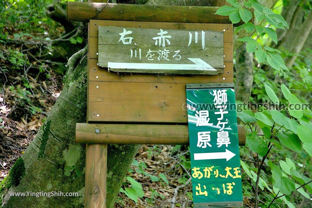 YTS_YTS_20190718_日本東北秋田中島台／獅子ヶ鼻湿原Japan Tohoku Akita Nakajimadai Recreation Forest028_539A8501.jpg