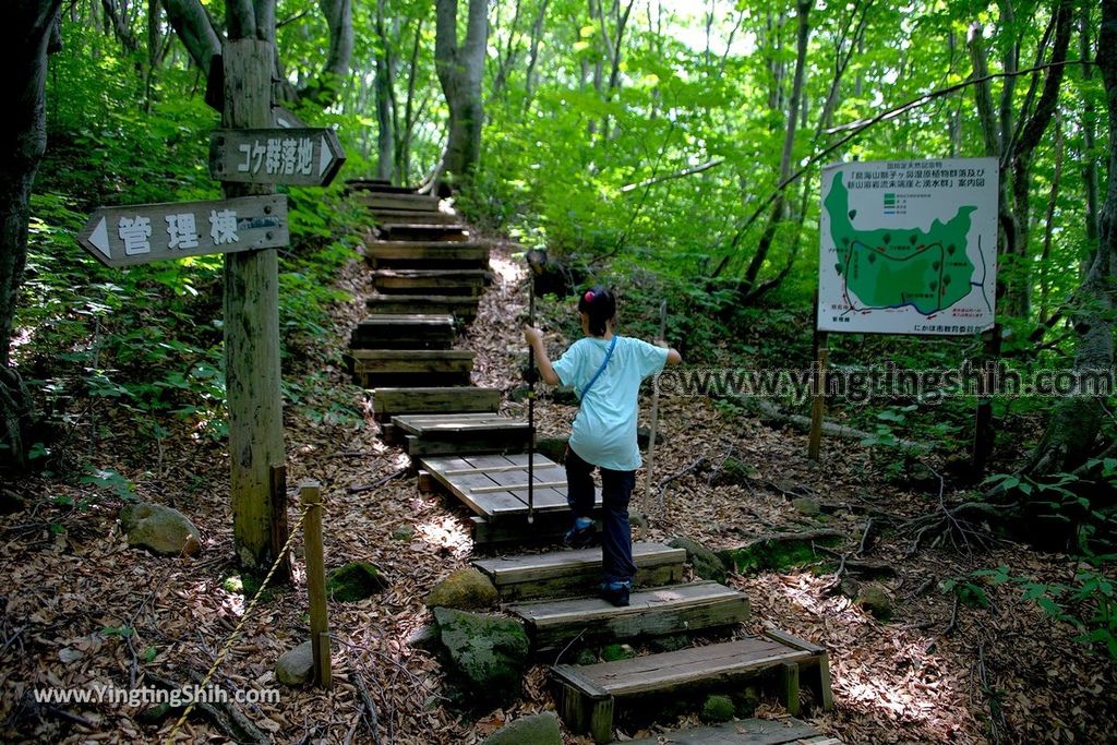 YTS_YTS_20190718_日本東北秋田中島台／獅子ヶ鼻湿原Japan Tohoku Akita Nakajimadai Recreation Forest039_539A8558.jpg