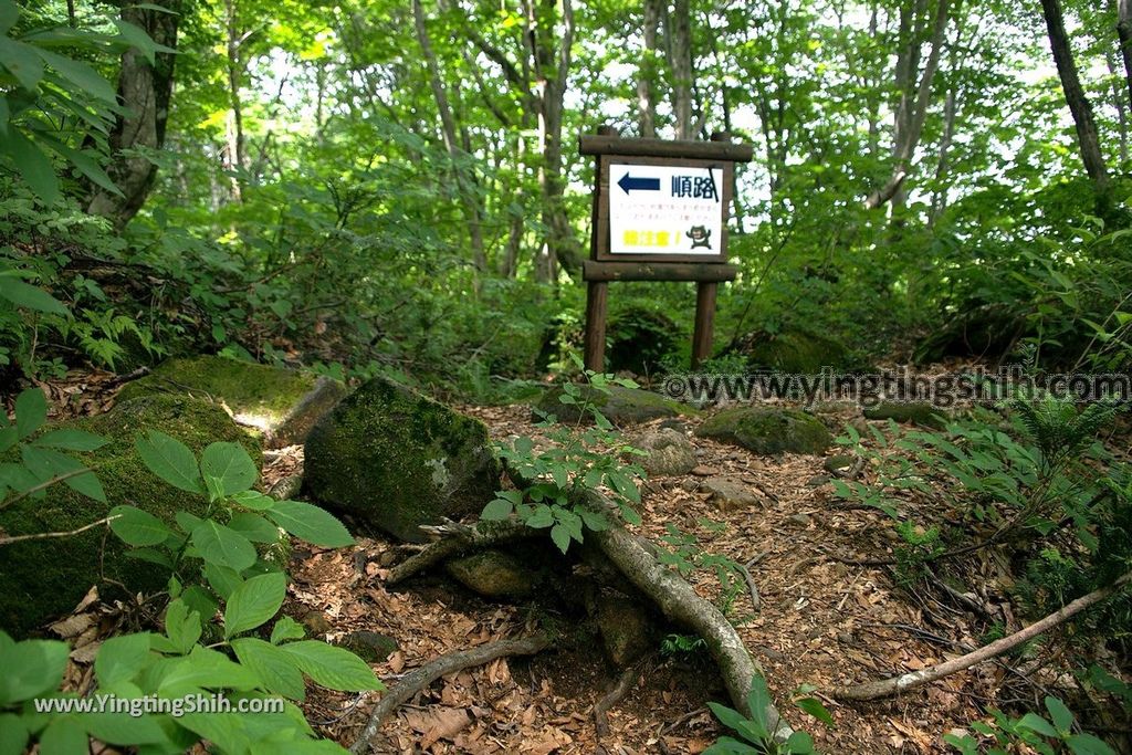 YTS_YTS_20190718_日本東北秋田中島台／獅子ヶ鼻湿原Japan Tohoku Akita Nakajimadai Recreation Forest042_539A8601.jpg