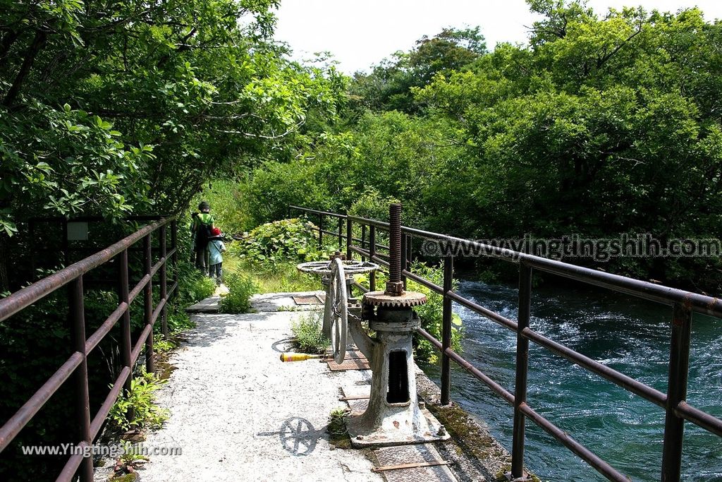 YTS_YTS_20190718_日本東北秋田中島台／獅子ヶ鼻湿原Japan Tohoku Akita Nakajimadai Recreation Forest059_539A8809.jpg