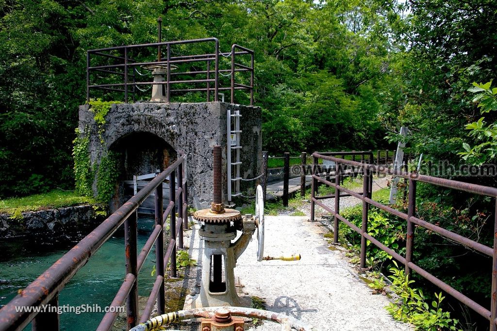 YTS_YTS_20190718_日本東北秋田中島台／獅子ヶ鼻湿原Japan Tohoku Akita Nakajimadai Recreation Forest061_539A8818.jpg