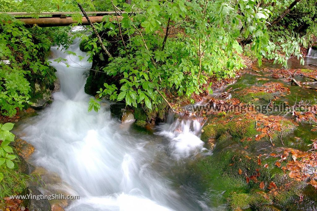 YTS_YTS_20190718_日本東北秋田中島台／獅子ヶ鼻湿原Japan Tohoku Akita Nakajimadai Recreation Forest064_539A8896.jpg