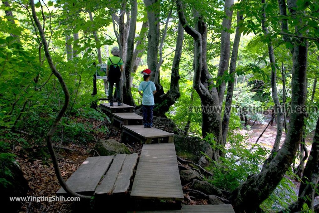 YTS_YTS_20190718_日本東北秋田中島台／獅子ヶ鼻湿原Japan Tohoku Akita Nakajimadai Recreation Forest068_539A8961.jpg