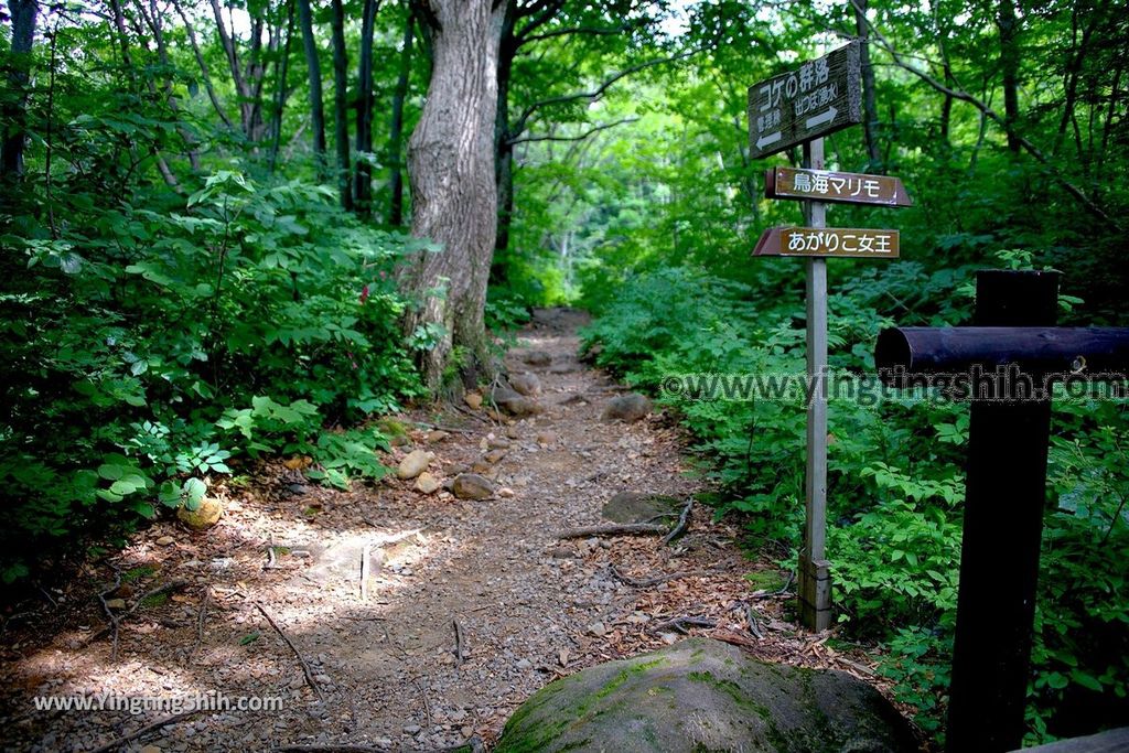 YTS_YTS_20190718_日本東北秋田中島台／獅子ヶ鼻湿原Japan Tohoku Akita Nakajimadai Recreation Forest073_539A8978.jpg