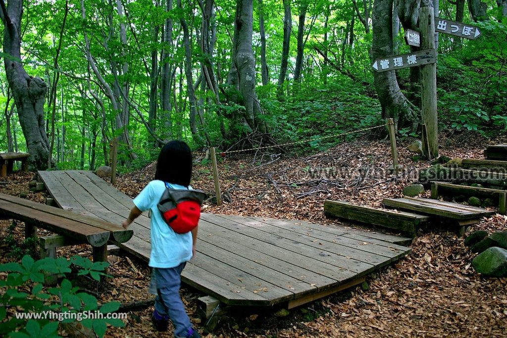 YTS_YTS_20190718_日本東北秋田中島台／獅子ヶ鼻湿原Japan Tohoku Akita Nakajimadai Recreation Forest081_539A9119.jpg