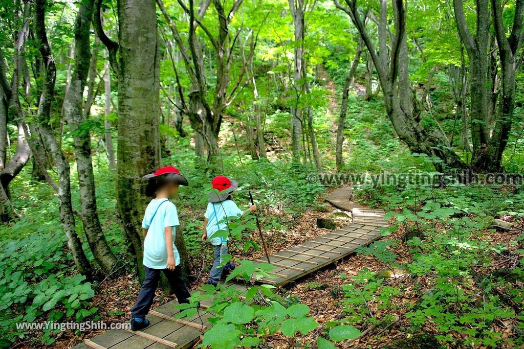 YTS_YTS_20190718_日本東北秋田中島台／獅子ヶ鼻湿原Japan Tohoku Akita Nakajimadai Recreation Forest078_539A9115.jpg