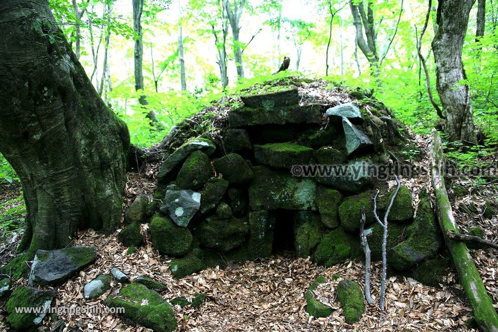 YTS_YTS_20190718_日本東北秋田中島台／獅子ヶ鼻湿原Japan Tohoku Akita Nakajimadai Recreation Forest088_539A9131.jpg