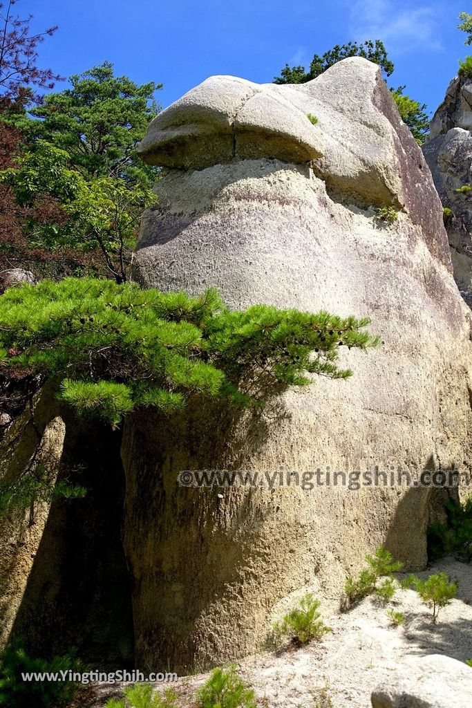 YTS_YTS_20190813_日本東北福島蘑菇岩／浄土松公園Japan Tohoku Fukushima Mushroom Rock／Jodomatsu Park049_539A0536.jpg