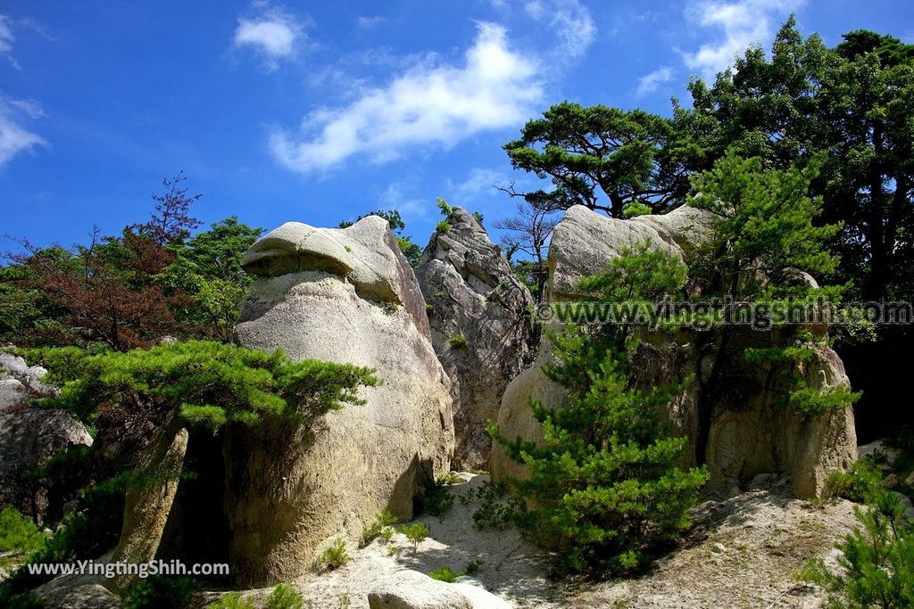 YTS_YTS_20190813_日本東北福島蘑菇岩／浄土松公園Japan Tohoku Fukushima Mushroom Rock／Jodomatsu Park048_539A0537.jpg