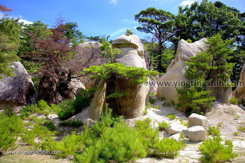 YTS_YTS_20190813_日本東北福島蘑菇岩／浄土松公園Japan Tohoku Fukushima Mushroom Rock／Jodomatsu Park058_539A0473.jpg