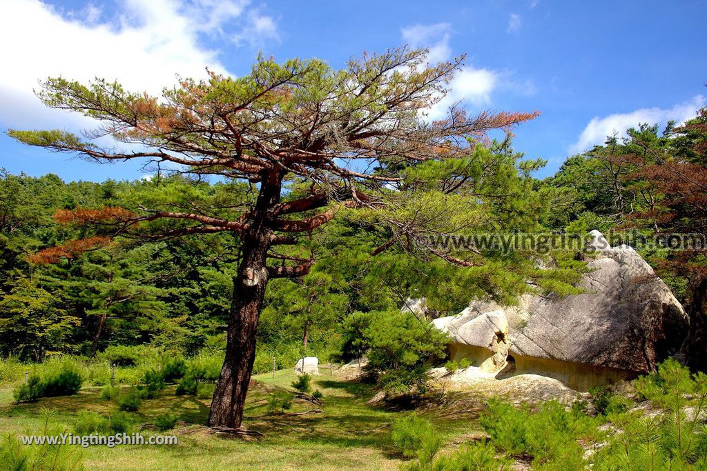 YTS_YTS_20190813_日本東北福島蘑菇岩／浄土松公園Japan Tohoku Fukushima Mushroom Rock／Jodomatsu Park061_539A0472.jpg