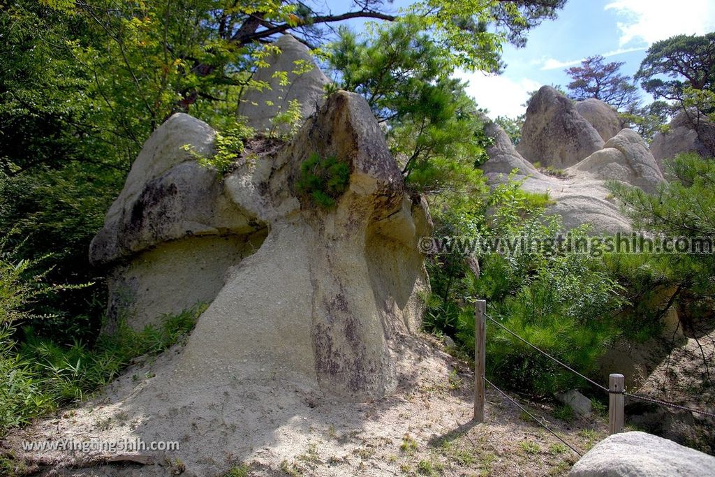 YTS_YTS_20190813_日本東北福島蘑菇岩／浄土松公園Japan Tohoku Fukushima Mushroom Rock／Jodomatsu Park075_539A0501.jpg