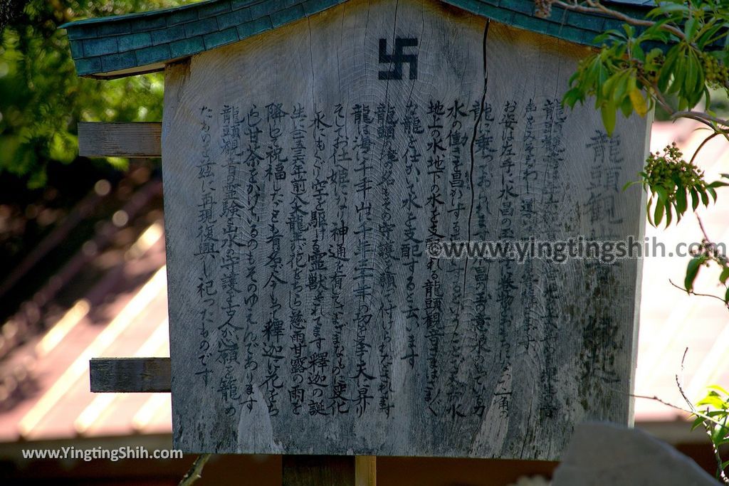 YTS_YTS_20190805_日本關東櫪木竜頭ノ滝／龍頭瀑布／日光國立公園Japan Kanto Tochigi Ryuzu Falls Park011_539A3199.jpg