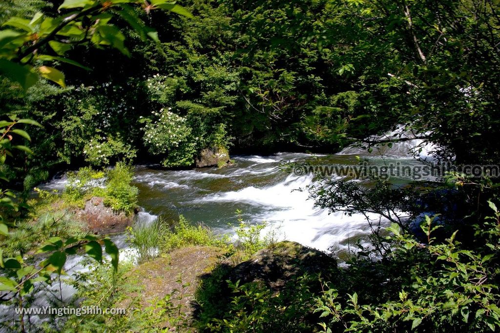 YTS_YTS_20190805_日本關東櫪木竜頭ノ滝／龍頭瀑布／日光國立公園Japan Kanto Tochigi Ryuzu Falls Park041_539A3143.jpg