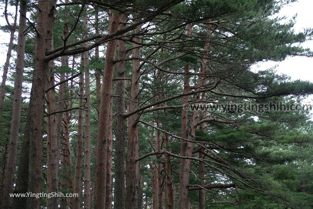 YTS_YTS_20190723_日本東北岩手鵜ノ巣断崖／展望所／吉村昭文學碑Japan Tohoku Iwate Unosudangai／Unosu Cliff011_539A8664.jpg