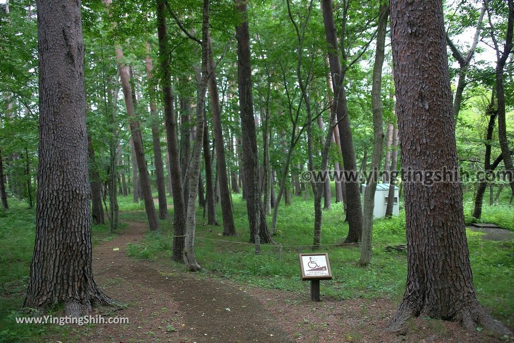 YTS_YTS_20190723_日本東北岩手鵜ノ巣断崖／展望所／吉村昭文學碑Japan Tohoku Iwate Unosudangai／Unosu Cliff023_539A8879.jpg