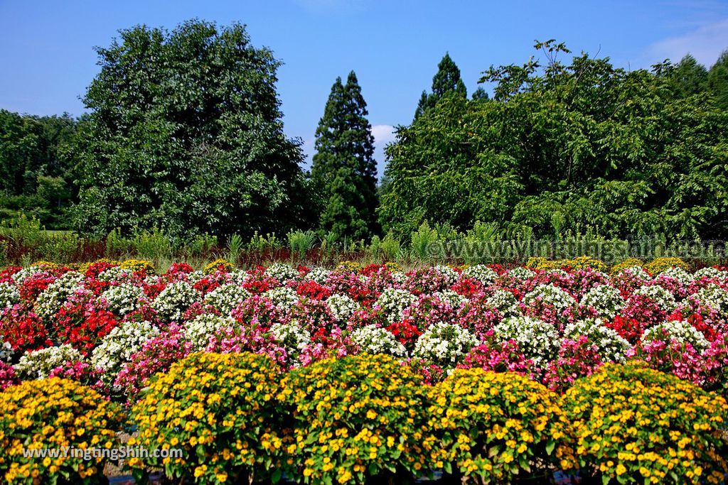 YTS_YTS_20190819_日本東北山形徳良湖／兒童遊樂場／遊步道Japan Tohoku Yamagata Tokura Lake061_539A3075.jpg