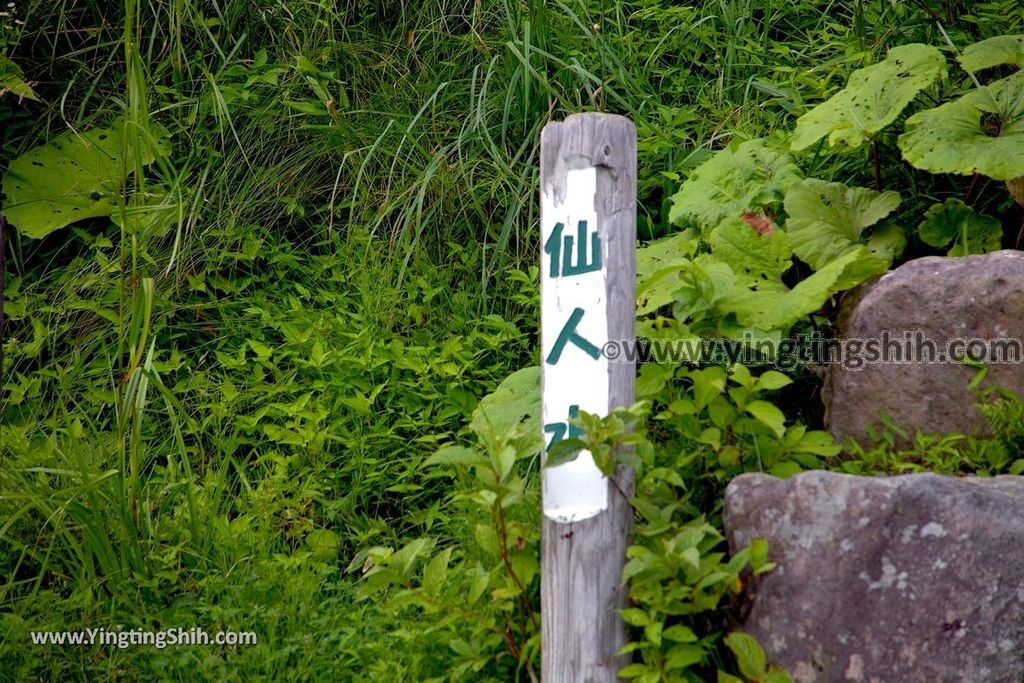 YTS_YTS_20190729_日本東北秋田雄勝栗駒仙人水Japan Tohoku Akita Kurikoma Senjin Water012_539A0888.jpg