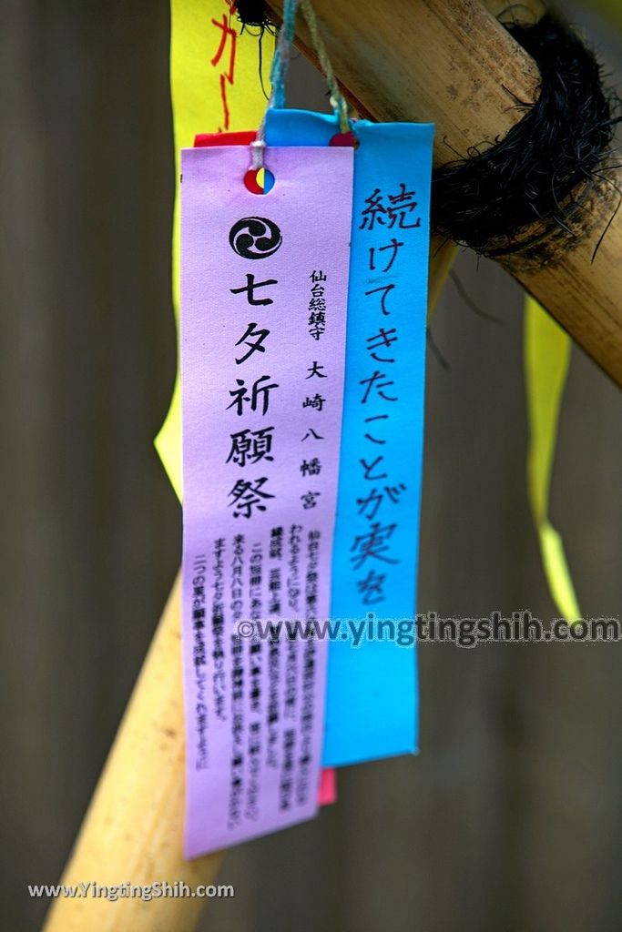 YTS_YTS_20190821_日本東北宮城仙台大崎八幡宮Japan Tohoku Miyagi Osaki Hachimangu Shrine117_539A7013.jpg