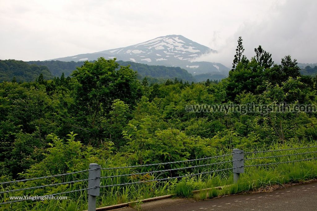 YTS_YTS_20190718_日本東北秋田竜ヶ原濕原／祓川神社／鳥海山矢島Japan Tohoku Akita Ryugahara Wetlands001_539A9970.jpg