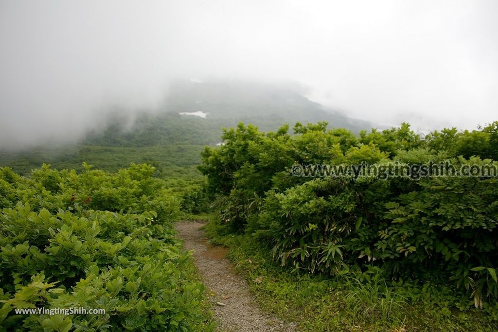 YTS_YTS_20190718_日本東北秋田竜ヶ原濕原／祓川神社／鳥海山矢島Japan Tohoku Akita Ryugahara Wetlands055_539A9579.jpg