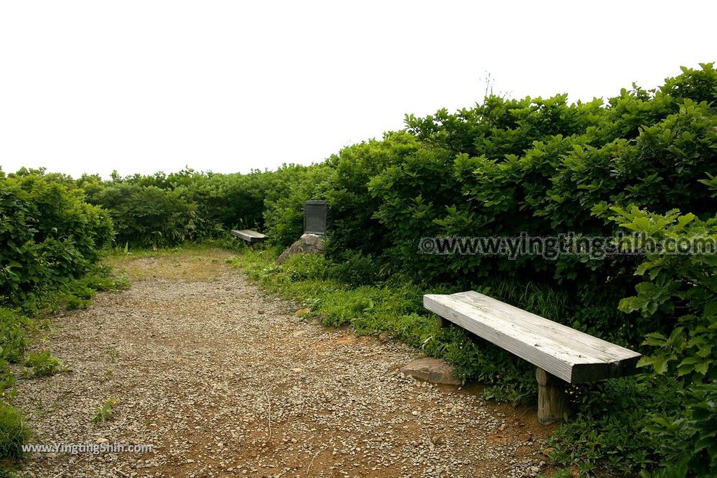 YTS_YTS_20190718_日本東北秋田竜ヶ原濕原／祓川神社／鳥海山矢島Japan Tohoku Akita Ryugahara Wetlands052_539A9575.jpg