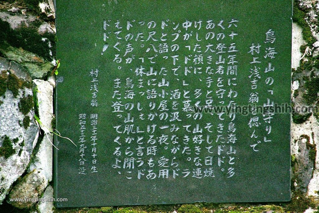 YTS_YTS_20190718_日本東北秋田竜ヶ原濕原／祓川神社／鳥海山矢島Japan Tohoku Akita Ryugahara Wetlands100_539A9895.jpg