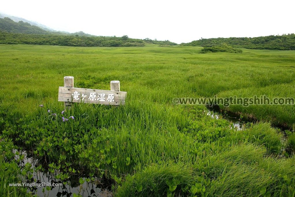 YTS_YTS_20190718_日本東北秋田竜ヶ原濕原／祓川神社／鳥海山矢島Japan Tohoku Akita Ryugahara Wetlands108_539A9920.jpg