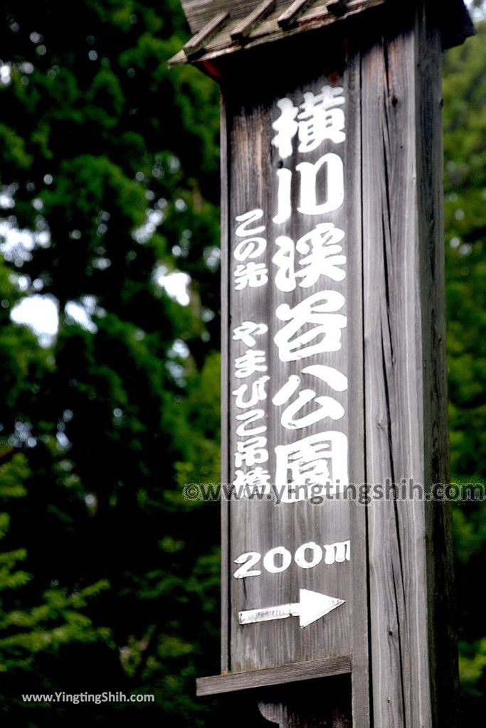 YTS_YTS_20190818_日本東北宮城橫川峽谷／回聲吊橋／やまびこ吊橋Japan Tohoku Miyagi Yamabikotsuri Bridge002_539A2856.jpg