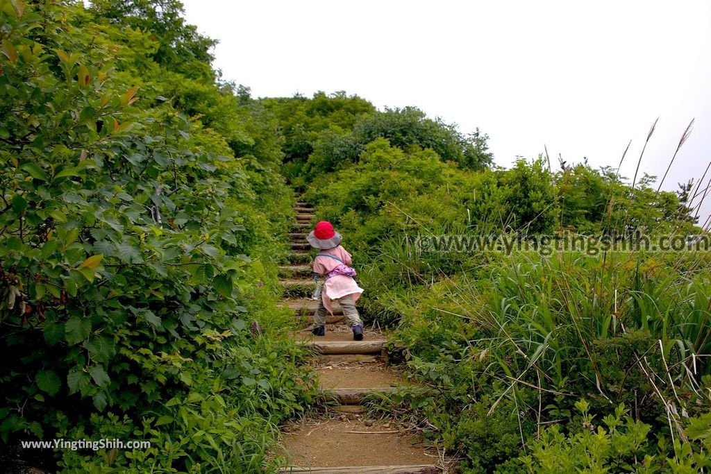 YTS_YTS_20190713_日本東北宮城大黑天／刈田嶺神社／刈田岳／藏王樹冰最高積雪地點Japan Tohoku Miyagi Okama Kattamine Shrine056_539A7949.jpg