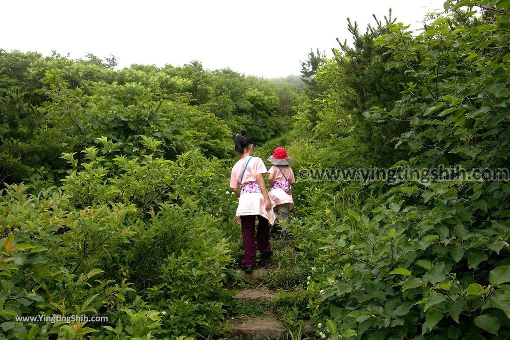 YTS_YTS_20190713_日本東北宮城大黑天／刈田嶺神社／刈田岳／藏王樹冰最高積雪地點Japan Tohoku Miyagi Okama Kattamine Shrine060_539A7967.jpg