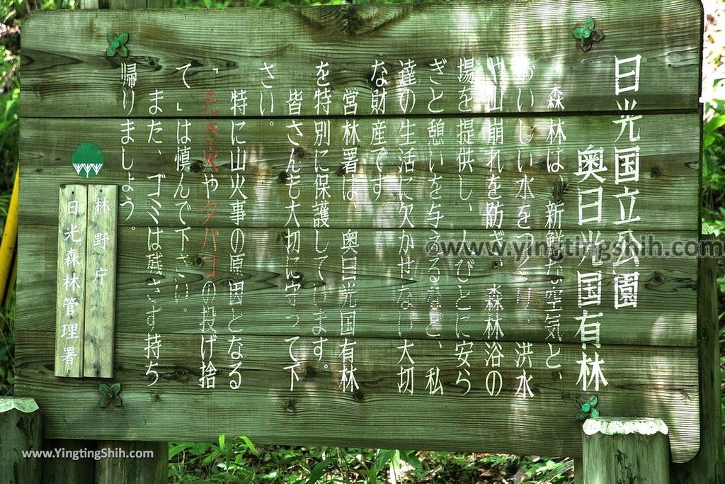 YTS_YTS_20190807_日本關東櫪木湯滝／小滝／晃山湯瀑記碑Japan Kanto Tochigi Yudaki Falls／Kodaki010_539A8254.jpg