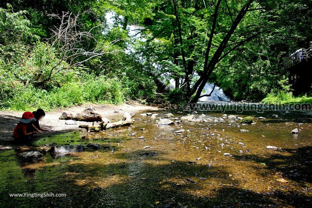 YTS_YTS_20190807_日本關東櫪木湯滝／小滝／晃山湯瀑記碑Japan Kanto Tochigi Yudaki Falls／Kodaki039_539A8394.jpg