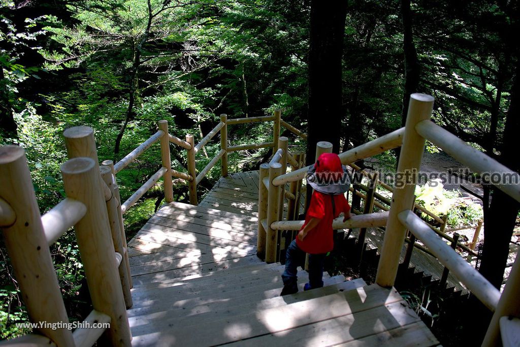 YTS_YTS_20190807_日本關東櫪木湯滝／小滝／晃山湯瀑記碑Japan Kanto Tochigi Yudaki Falls／Kodaki073_539A8757.jpg