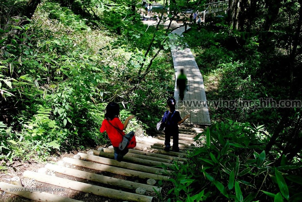 YTS_YTS_20190807_日本關東櫪木湯滝／小滝／晃山湯瀑記碑Japan Kanto Tochigi Yudaki Falls／Kodaki074_539A8823.jpg